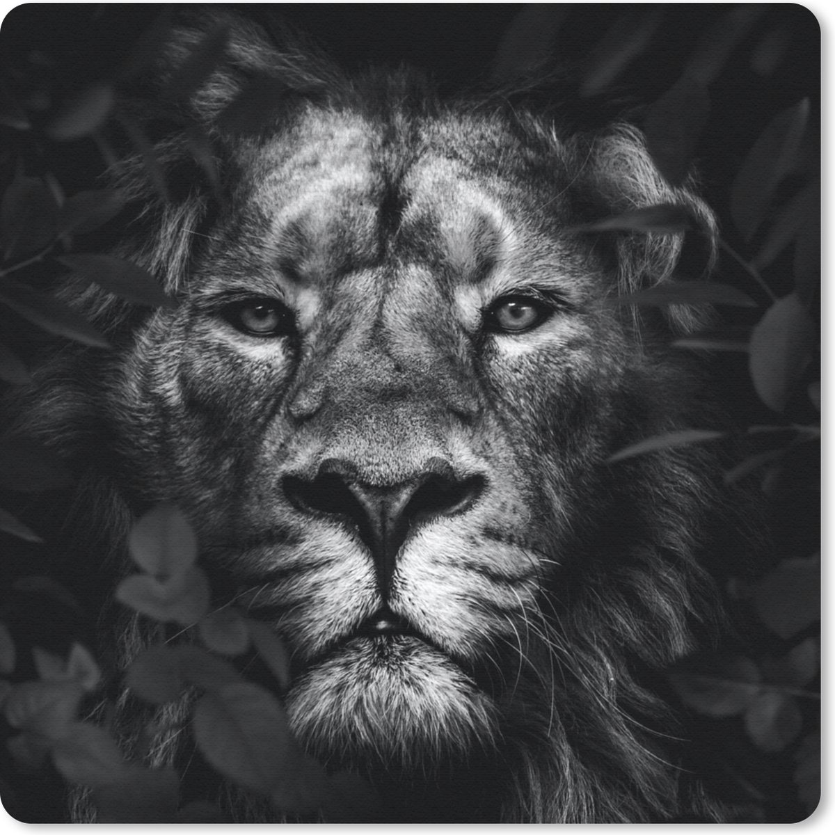 Muismat 30x30 cm - Mousepad Planten - Leeuw - Jungle - Zwart - Wit - Muismatten
