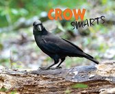 Scientists in the Field - Crow Smarts