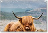 Schotse Hooglander - Tuinposter 90x60 - Wanddecoratie - Besteposter - Dieren - Natuur