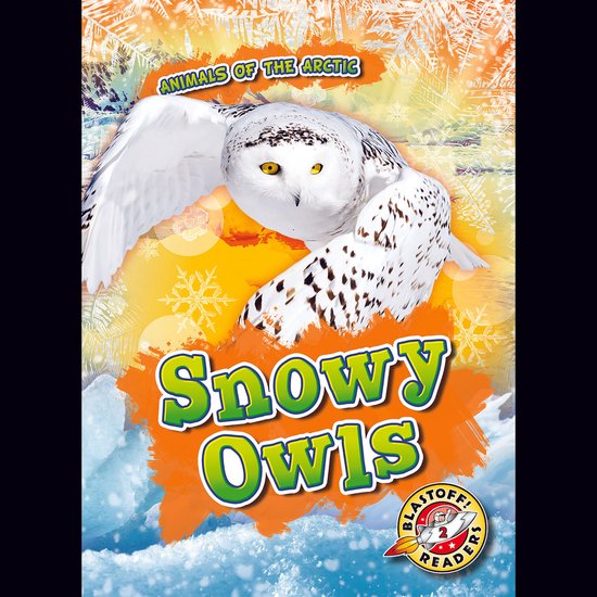 Snowy Owls - cover