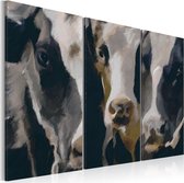 Schilderij - Piebald cow.