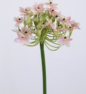 Kunstbloem - Ornithogalum - vogelmelk - topkwaliteit decoratie - 2 stuks - zijden bloem - Roze - 67 cm hoog