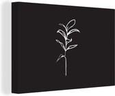 Illustration botanique d'art en ligne d'une grande toile plant 2cm 30x20 cm - petite - Tirage photo sur toile (Décoration murale salon / chambre) / Peintures Fleurs sur toile