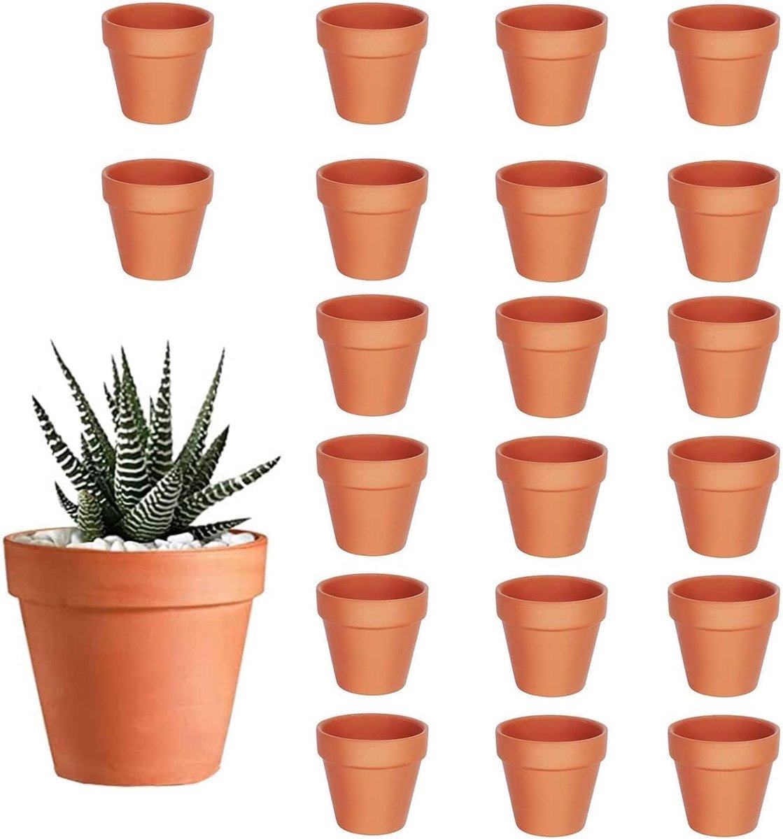 Famanu – Set van 20 kleine terracotta potten, 3,5 cm diameter, met drainagegat, voor cactussen en binnenplanten