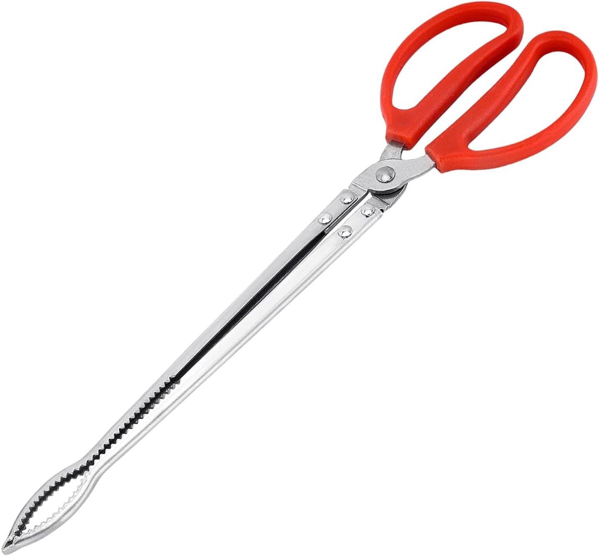 Voedertang Reptielen - Pincet Tang - Reptielen Voeren - Antislip Siliconen Grip - 38 cm - Zilver