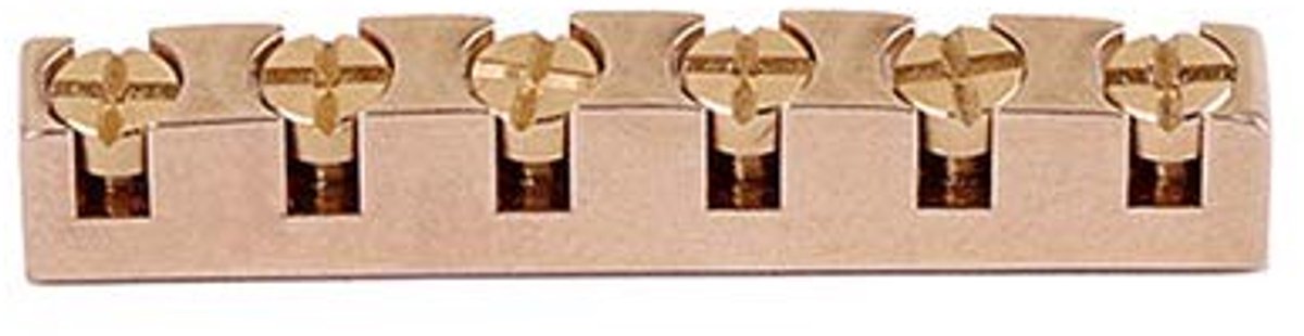 Dailygoods - Messing Gitaarmoer voor 6-Snarige Instrumenten