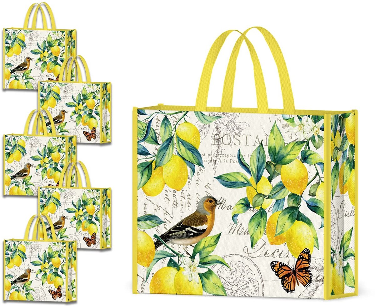 Dailygoods- Boodschappentas Herbruikbaar - Opvouwbaar - Stevig - Duurzaam - Wasbaar - Lange Handvatten - Tote Bag