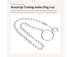Séparation en acier inoxydable pour grands perroquets, dressage d'animaux, Catena Pappagalli, Pieds Vogel , Ring unidirectionnel pour Vogels