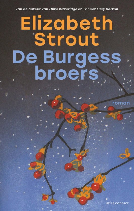 Lucy Barton 6 - De Burgess-broers