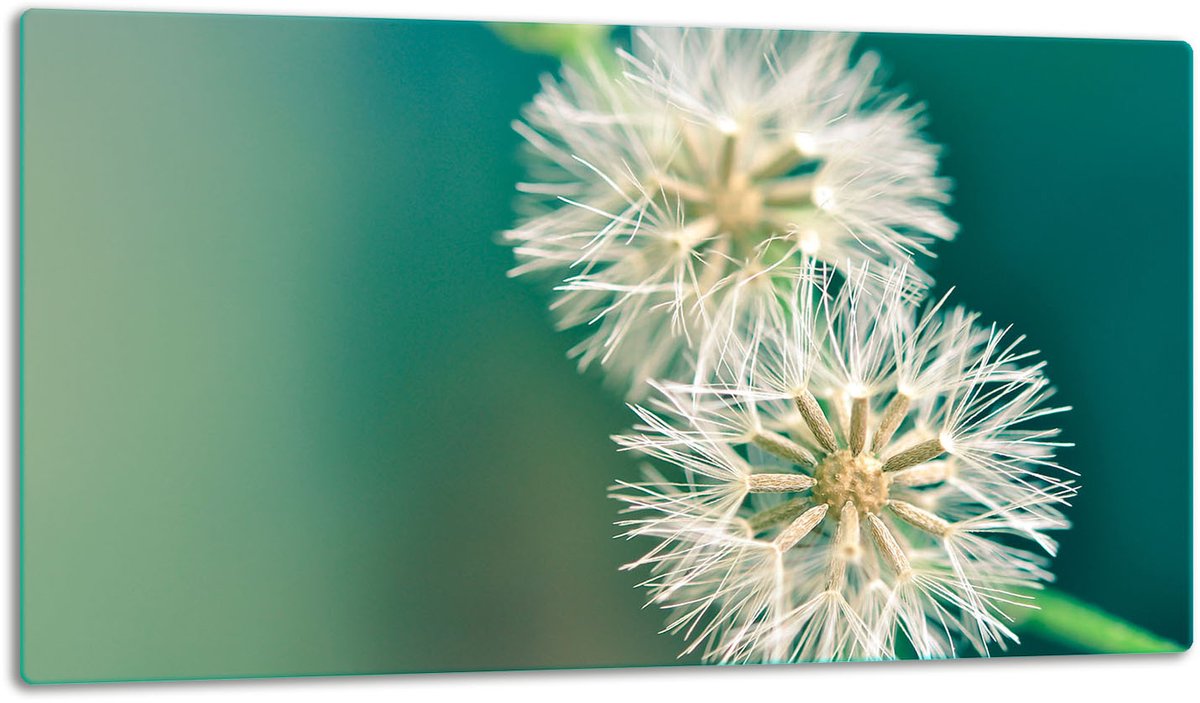 TMK ArtDeko - Snijplank - 52x30 cm - Glas - Bloemenprint