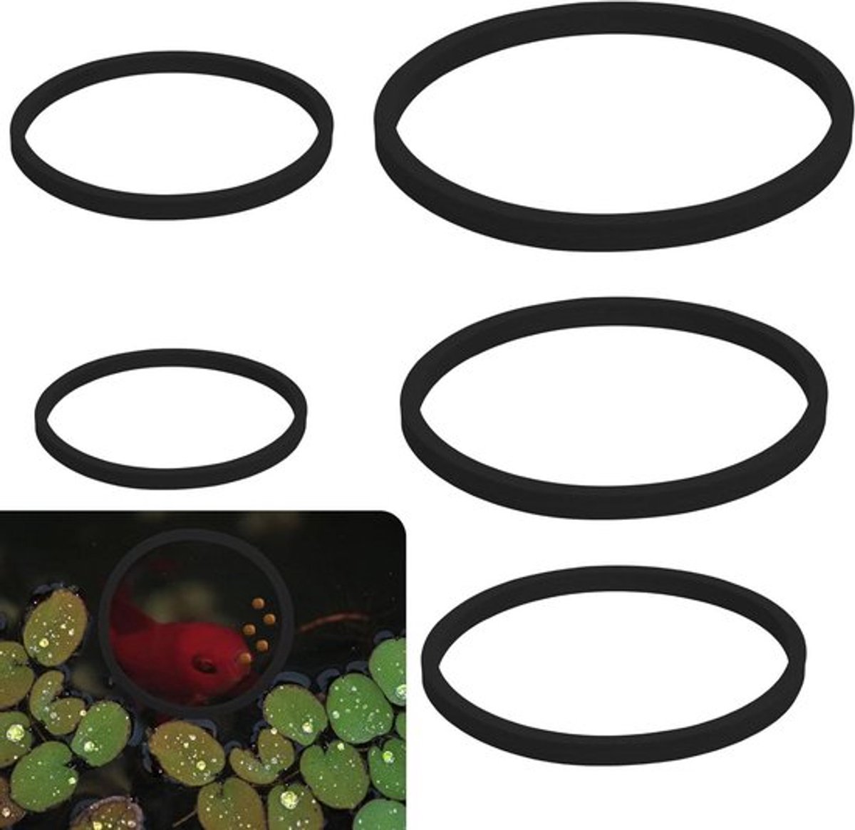 Drijvende Plantenringen voor Aquarium - Set van 5 Stuks - Schuim Plantenkralen - Visvoerringen - Voor Drijvende Planten - Zwart