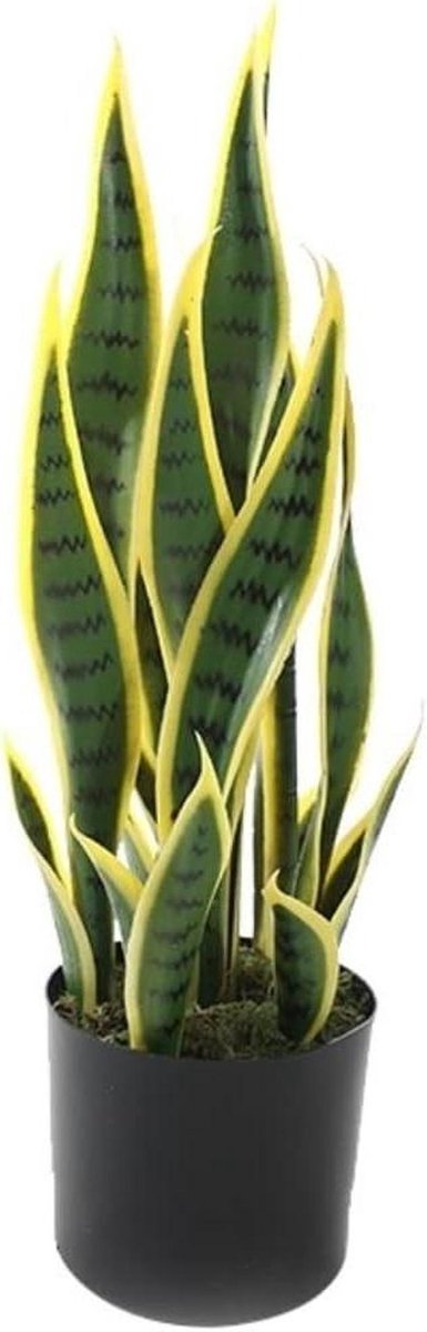 Kunstplant Sansevieria - Nep Boom - Woonkamer Decoratie - Levensecht Ontwerp - 55 cm - Groen