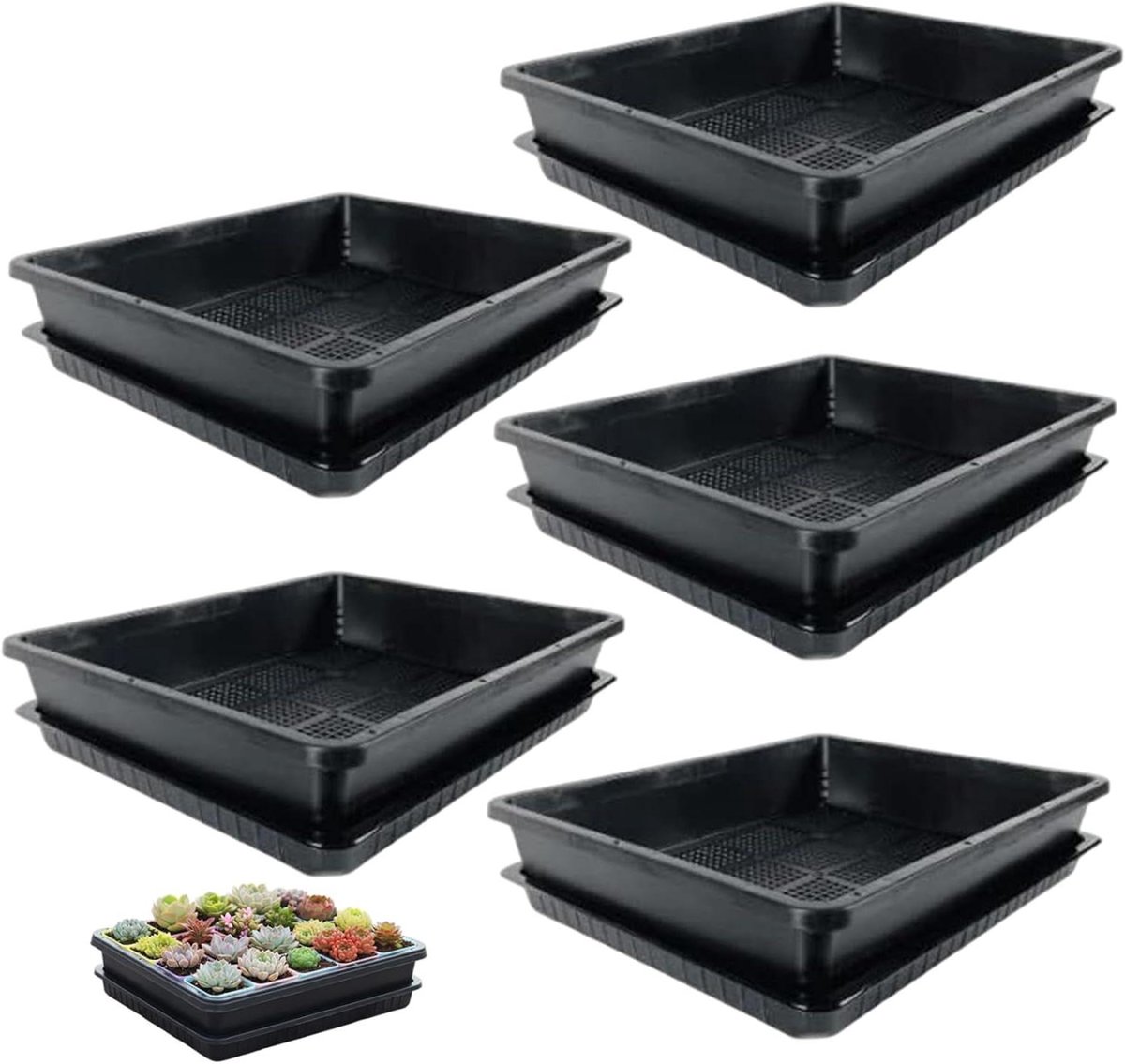 Plantenbakken Set - Zaaitrays - Zaad Ontkiemen - Verstevigd PP Materiaal - 5 Stuks - Zwart