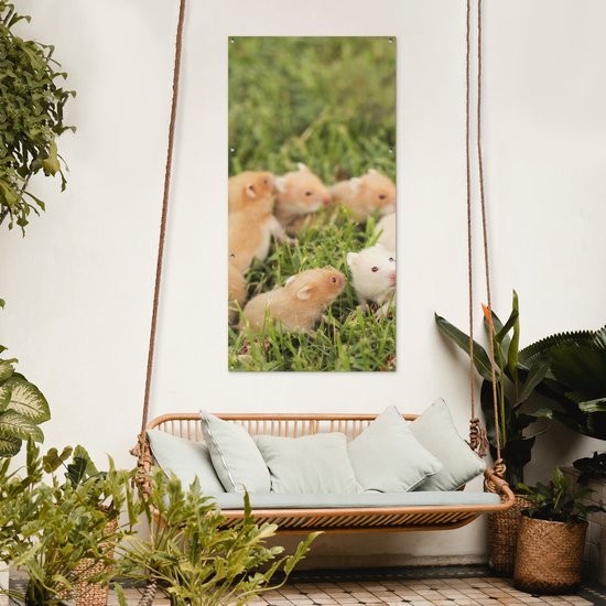 Décoration murale d'extérieur Hamster doré avec garçon - 80x160 cm - Toile de jardin - Poster extérieur