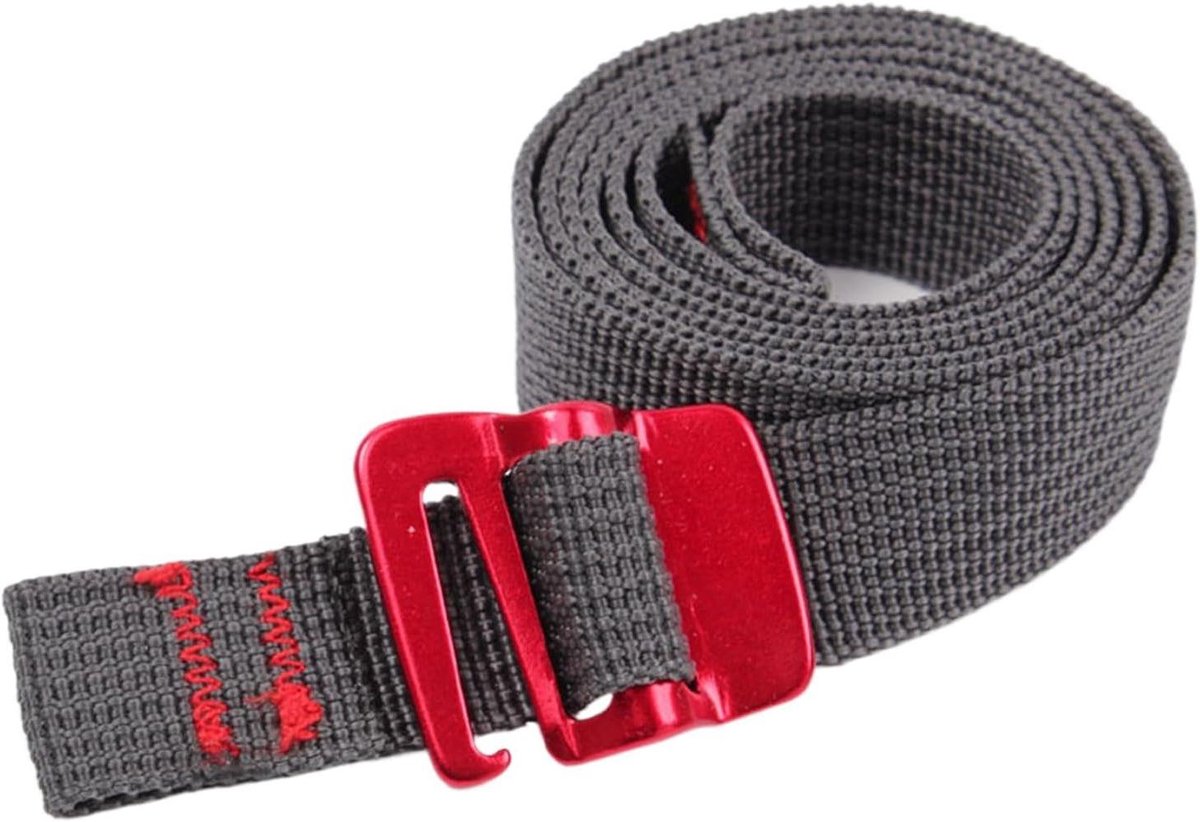 Spanbanden met Gesp - Bagagebanden - Bagage Vastzetten - Snelsluiting - 2 x 149 cm - Multicolor
