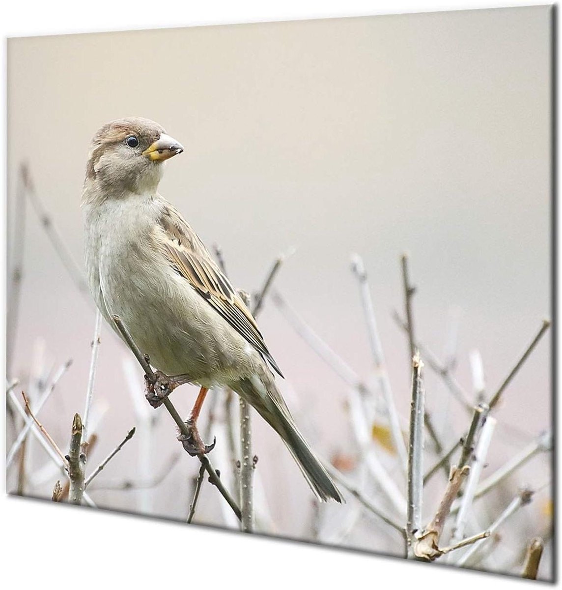 Kookplaat Protector - Snijplank Werkblad - Keukenwerk Plaatsen - Gehard Glas - 60 x 52 cm - Wit