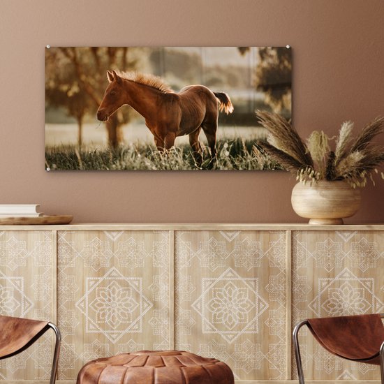 ® Glasschilderij 80x40 cm - Schilderij acrylglas - Paard - Licht - Weide - Foto op glas - Muurdecoratie woonkamer - Wanddecoratie slaapkamer - Schilderijen