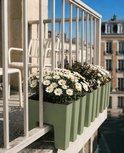 Olijfgroene plantenbakken met witte margrieten, bevestigd aan een balkonhek.