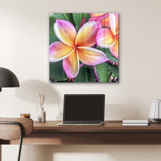 ® Glasschilderij 50x50 cm - Schilderij acrylglas - Kleurrijke Plumeria bloemen in Singapore - Foto op glas - Muurdecoratie woonkamer - Wanddecoratie slaapkamer - Schilderijen