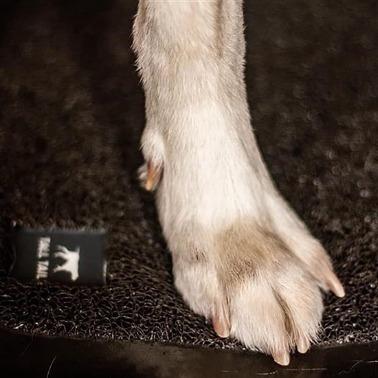 Honden Badmat - Huisdier Douchemat - Stressvrij Baden - Antislip Oppervlak - 100x40cm — afbeelding 3