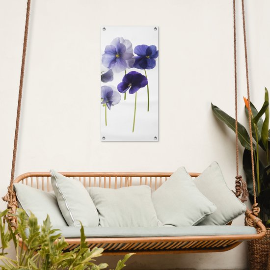 Poster de jardin Violettes violettes sur caisson lumineux - 40x80 cm - Décoration murale Outdoor - Poster de jardin - Toile de jardin - Poster de clôture - Tableau de jardin