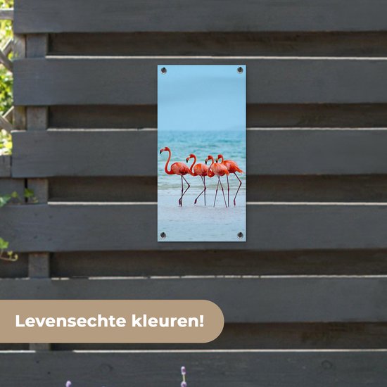 Affiche de jardin Quatre flamants roses marchant dans l'eau - 30x60 cm