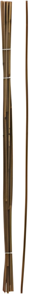 Pro Garden Plantenstokken - 10x - bamboe - H118 cm - plantensteun - bamboestokken/tonkinstokken