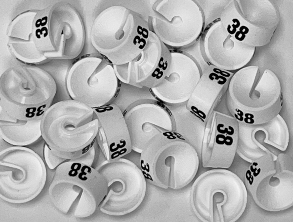 Bleijenberg Maatdopje maat 38 wit - Maataanduiding voor kledinghangers per 25 stuks - Maatringetje Ø 20 mm - Kledinghangers - Kleerhanger - Kapstok - Mark-Brics - wisersizer