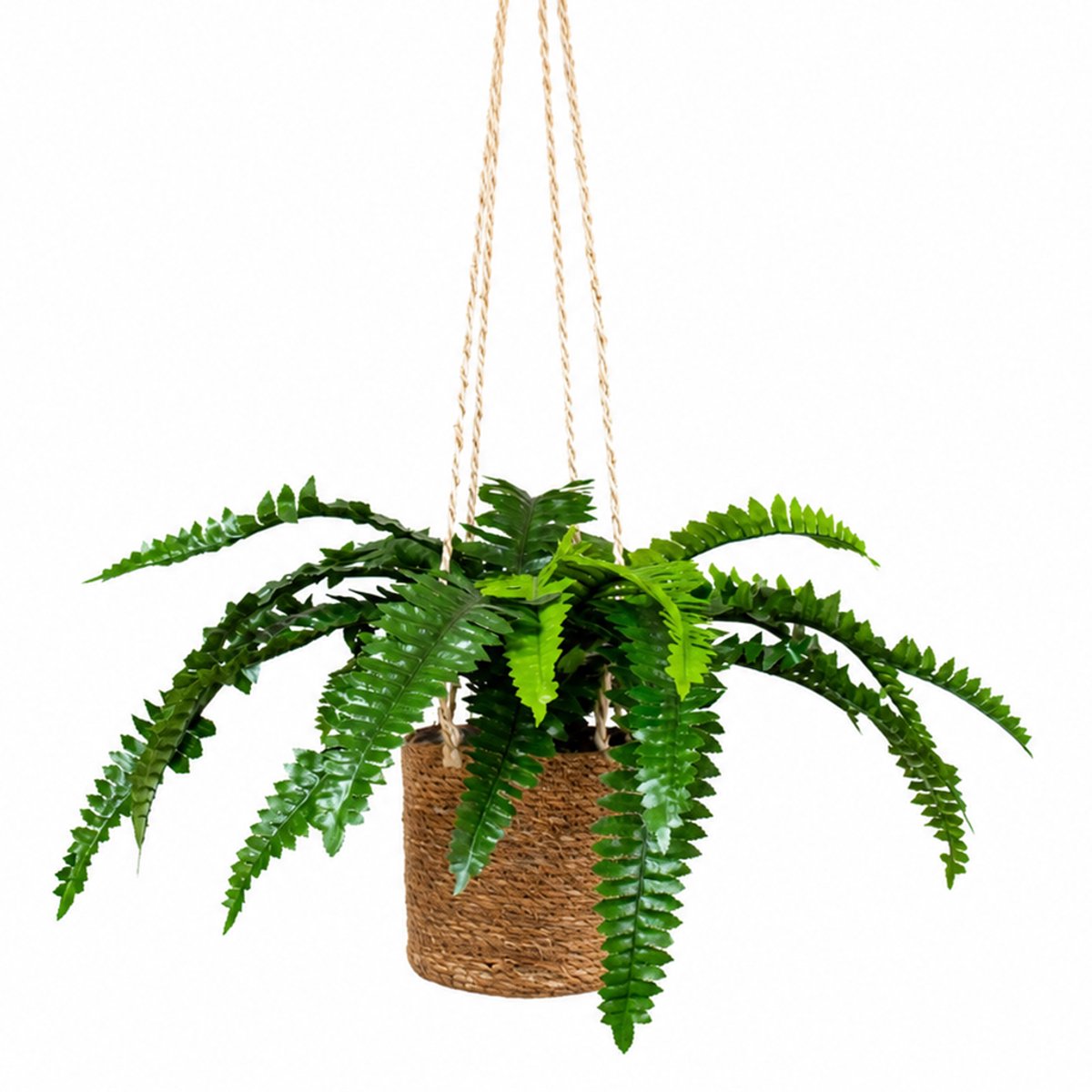 HTT Decorations Kunstplant Nephrolepis/Varen in hangmand naturel L100cm