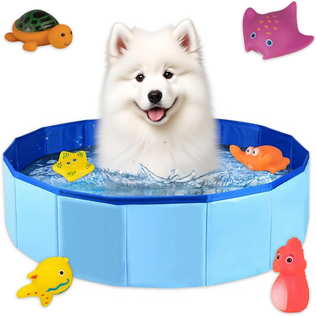 Vouwbare hondenbadkuip voor kleine honden en katten, 50 × 10 cm, met water speelgoed, ideaal voor baden en spelen