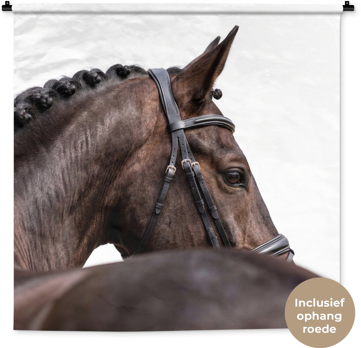 Wandkleed 120x120 cm - Wanddoek Portret - Paard - Elegant - Wandtapijt - Wandkleden