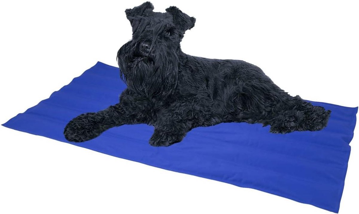 Voetmat Gel - Koelmat Hond - Honden Koel Houden - Zelfkoelend Gelschuim - 50 x 90 cm - Blauw