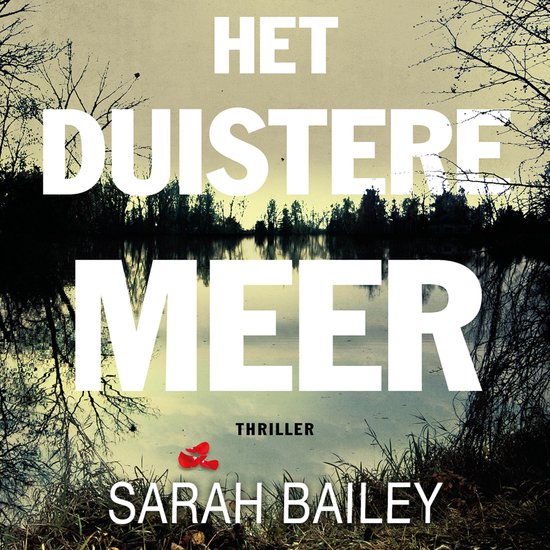 Het duistere meer - cover