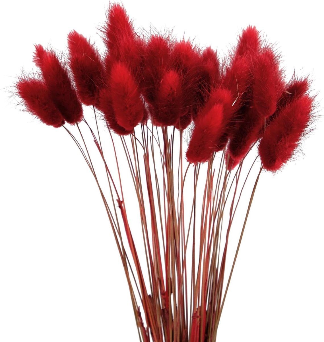 Natuurlijke Gedroogde Bloemen Decoratie - 60 Stuks Pampasgras voor Boho Interieur, Fluffy Arrangementen en Creatieve Versieringen in Rood