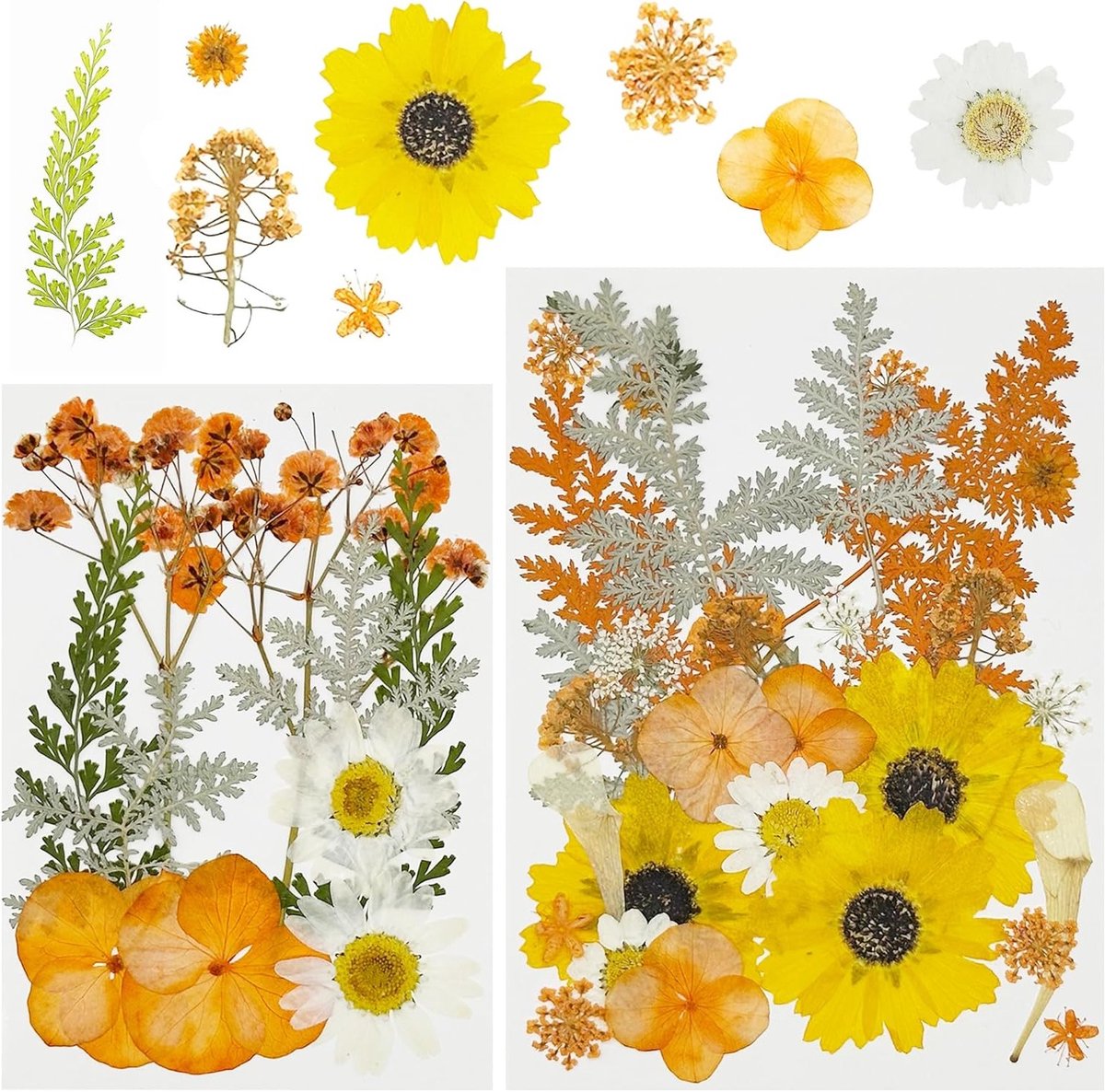 40 Stuks Natuurlijke Geperste Bladeren voor Hars, Gedroogde Oranje Bloemen voor Scrapbooking en Sieraden Maken