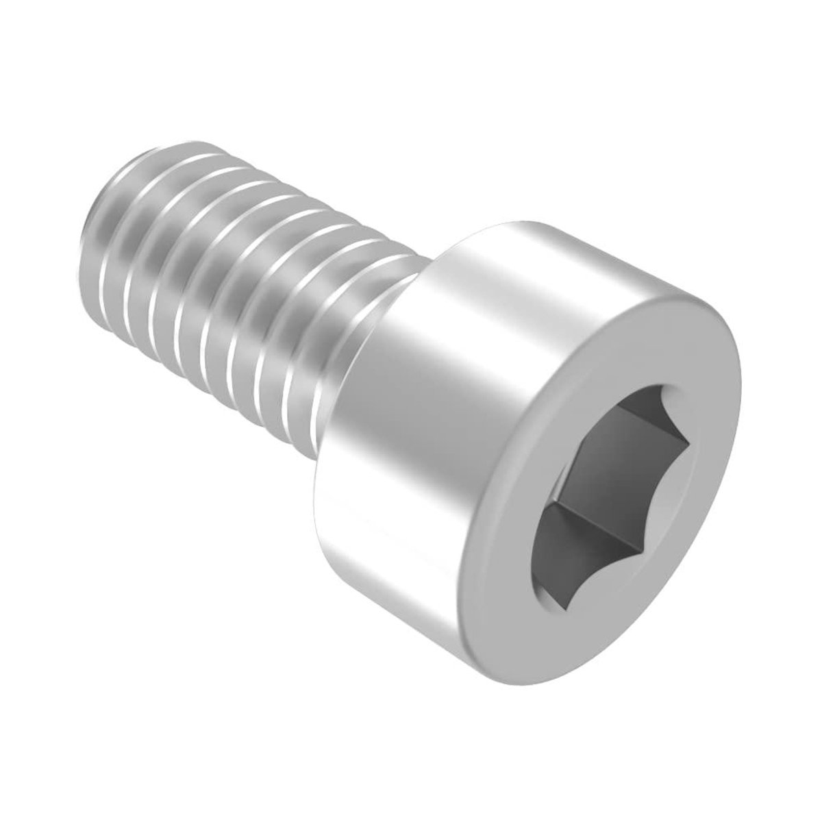 Cilinderschroef M5 - Inbusbout Roestvrij Staal - Bevestigen van Onderdelen - Volledige Schroefdraad - 10 mm - Roestvrij Staal