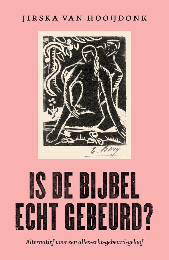 Boekcover met de tekst 'Jirska Van Hooijdonk IS DE BIJBEL ECHT GEBEURD? Alternatief voor een alles-echt-gebeurd-geloof'. Centraal een zwart-wit afbeelding van twee figuren.