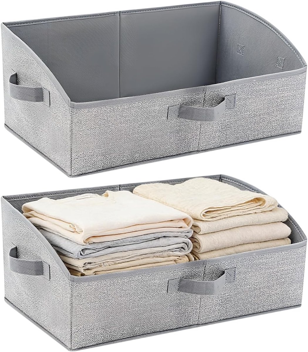 Opbergdozen Set van 2, Rechthoekige Opbergcubes, Niet-Geweven Dozen met Handvat voor Kleding, Speelgoed en Boeken, 50 x 28.5 x 20 cm, Lichtgrijs