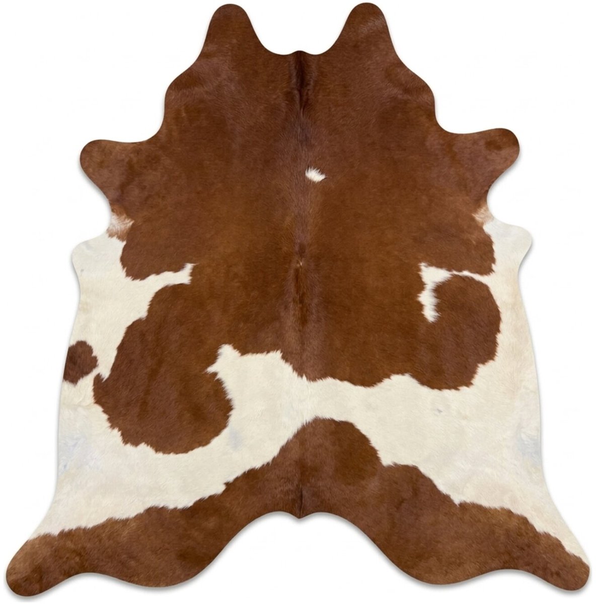 Koeienhuid Vloerkleed - Roodbruin-Wit Bont - 240 x 220 cm - Koeienkleed / Koeienvel / Dierenvel / Dierenhuid / Koehuid Tapijt - incl. 4 onderzetters