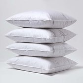 TherapieWelt Classic Gladde Kussen Sofakussen Katoenen Het Beste Slaapkussen Met Hoofdkussen Vulling Decokussen Binnenkussen Ademend Wit Maat 15 X 40 Cm TherapieWelt Classic Gladde Kussen Sofakussen Katoenen Het Beste Slaapkussen Met Hoofdkussen Vulling Decokussen Binnenkussen Ademend Wit Maat 15 X 40 Cm