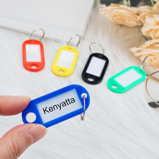 Keychain Color Id 100pcs Key Chain Labeling Key Tags - Multicolour Identification ...