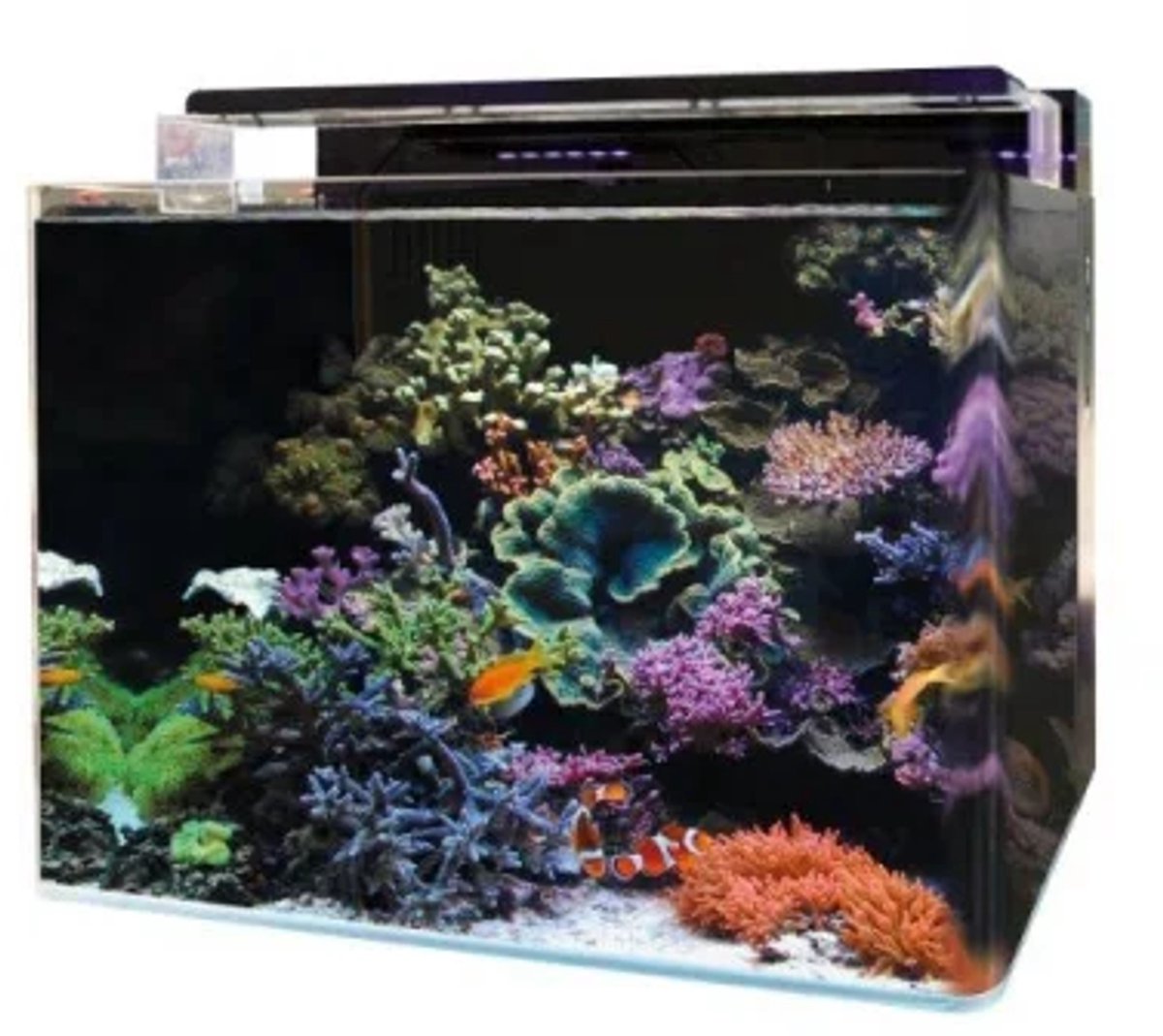 Blue Marine Reef 120 Aquarium | 120L | 60 x 45 x 45 CM