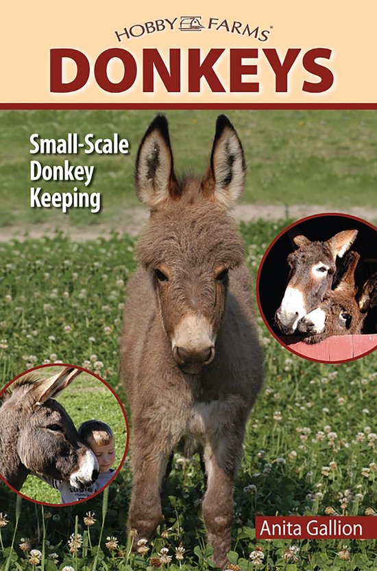 Donkeys - cover