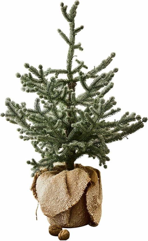 LOBERON Arbre ornemental Glenda vert