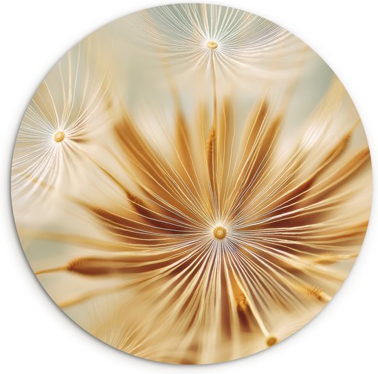 WallCircle® Wandcirkel 30x30 cm - Muurcirkel Paardenbloem - Beige - Abstract - Modern - Natuur - Muurdecoratie woonkamer - Wanddecoratie slaapkamer - Kamer decoratie accessoires - Ronde schilderijen