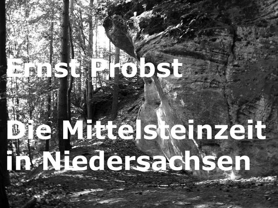 Die Mittelsteinzeit in Niedersachsen - cover