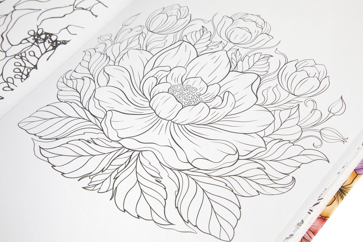 Luxe Kleurboek Voor Volwassenen - 300 Kleurplaten - Formaat A4 - Thema’s in Botanisch, Dieren & Mandala - volwassen kleurboek - Tekenen & Kleuren - Perfect voor Volwassenen - Joya Creative — afbeelding 7
