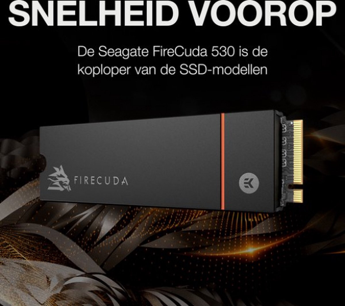 Seagate FireCuda 530 met Heatsink - Interne M.2 SSD - NVMe