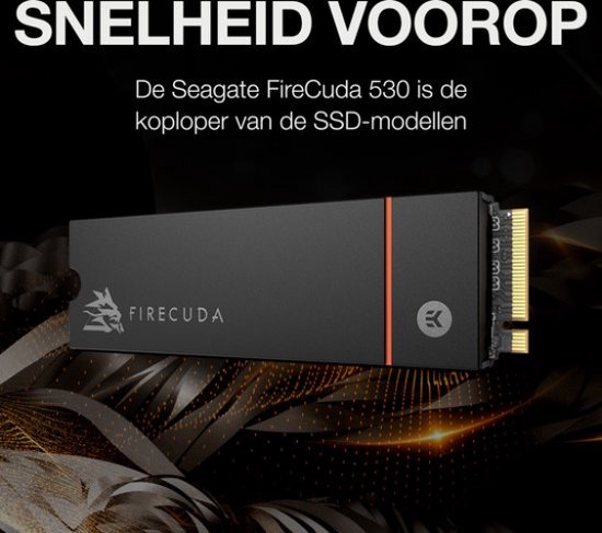 Seagate FireCuda 530 met Heatsink - Interne M.2 SSD - PS5