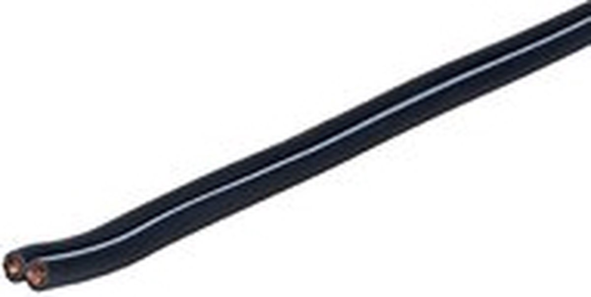 Vivolink PROSPEAK1 audio kabel 100 m Zwart